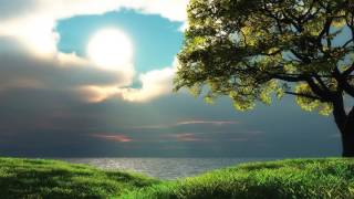 Easy Listening Instrumental Piano Music: Peaceful Easy Feeling Music for Positive Energy and Healing