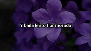 Y baila lento flor morada🪻 Que me recuerdas a mi amada  // Nasa Histoires - Bugambilia (Letra)