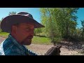 how ranchers move cows on a cattle drive