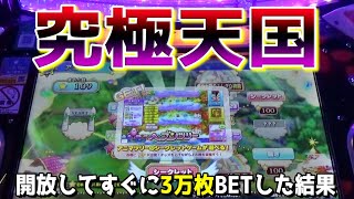 隠れゲーム「ヘブンツリー」に30000枚BETしたら過去一でしたｗｗ【メダルゲーム】