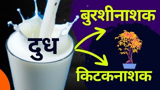 हे आहेत दुधाचे 8 फायदे ll Milk Benefit Of Agriculture