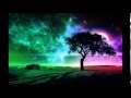 The Marula Tree -  Michael E