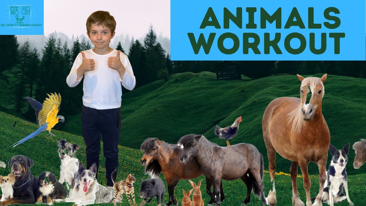 Animal Workout Youtube