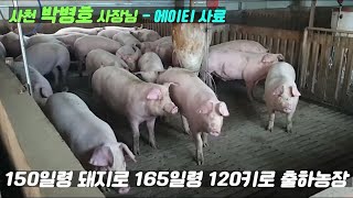 [AT면역사료] 너무 잘 커서 출하가 어려운 에이티 사료