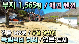 부지 1,565평 애견펜션및 독립적인 양평전원주택급매!/ 부지 1,565평 건물 142평 매매 7억5천/ 2차선460미터 편리한 집입로 마당넓은 전원주택급매[매번 - 18800]