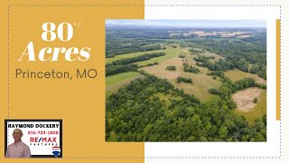 80 Acres Near Princeton, MO