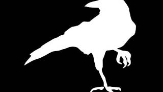 The Raven (by Edgar Allen Poe) Poem Summary