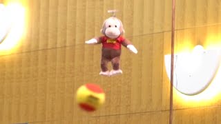 Kinematics Demo: Shoot the Monkey