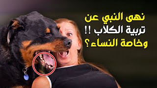 معجزة يكشفها الطب .. لماذا حذرنا الرسول ﷺ من تربية الكلاب في المنزل ؟؟ ولمس النساء لهم بصفة خاصة ؟