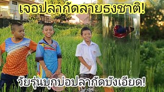 วัยรุ่นบุกบ่อปลากัดบังเอียด เจอปลากัดลายธรรมชาติ!