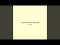 Fragile Shadow Midnight