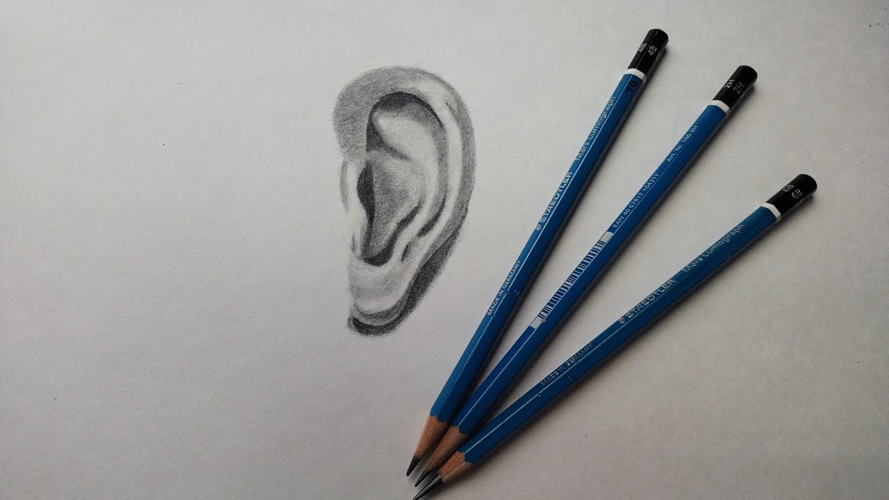 How To Draw Realistic EAR | Detail Video Step By Step | - YouTube