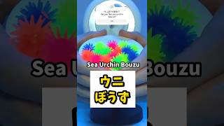 ウニぼうず耳かき【30sec ASMR】Sea Urchin Bouzu #asmr