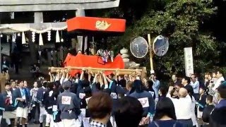 平成27年度 吉原祭 宵宮 新濱組 宮入③ 2015.10.17