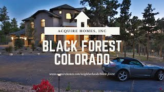 Black Forest Colorado Springs