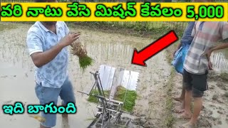 వరి నాటు వేసె మిషన్ 5000 కె | paddy rice transportation machine telugu