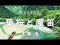 【名著朗読】太宰治　葉桜と魔笛　女性音声