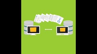How do I export WordPress user data?