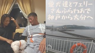 【さんふらわあ で行く大分県🛳】わんこと泊まれるフェリーでキャンピングカーの旅🐾