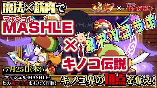 【キノコ伝説】マッシュルコラボくるぞ！　マッシュル×キノコ伝説　シュークリーム食べます？？【戦闘力1億検証系YOUTUBER】