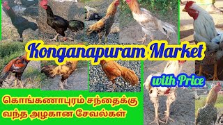 My favorite different colored roosters. சந்தையில் எனக்கு பிடித்த வித்தியாசமான கலர் சேவல்கள்.