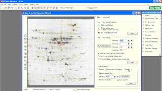 PDQuest™ Software Tutorials — Optimize Spot Detection