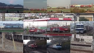 朝の貨物列車　多摩川橋梁、府中本町2016/12/20、稲城付近2016/12/22