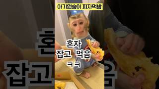 이정도면 사람 아니야..?ㅎㅎ #monkey