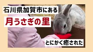 【子連れお出かけ】月うさぎの里で癒され旅