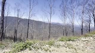 Goldie Spur 4WD Track - Vic High Country