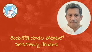 రెండు కోడె దూడల పోట్లాటలో నలిగిపోతున్న లేగ దూడ @RayalaseemaSSS