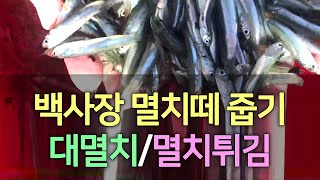 멸치투망 없이 손으로 잡아서 양동이가 가득, 멸치줍줍, 백사장에 멸치떼가 바글바글, 대멸치까지, 손으로 멸치들을 막 주워담아서 멸치튀김 해먹기, 덤으로 조개찜, cast a net