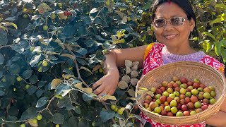 বগৰীৰ মিঠা আচাৰ | Sweet Jujube Pickle Recipe | Healthy and Tasty