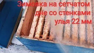 Зимовка пчел на сетчатом дне со стенками улья 22мм