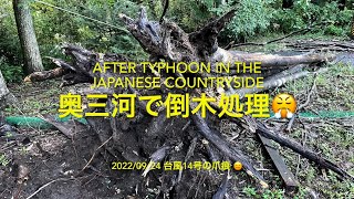 2022/09/24 奥三河で倒木処理😤台風14号の爪痕😑After Typhoon in the Japanese countryside