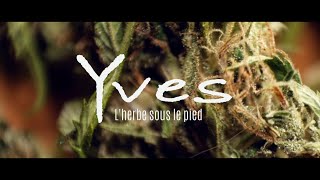 Yves - L'herbe sous le pied - 2021 - (Clip Officiel) Reggae Français