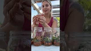 Fall Harvest Salad | Mason Jar Salad Recipe | Simple Lunch Salad | Plant Based Lunch Inspo