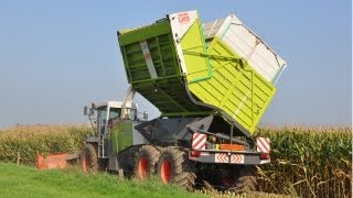 Loonw. Meganck-Haenebalcke - Claas Jaguar 900 Fieldshuttle - mais hakselen