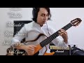 Freddie Freeloader - Miles Davis - Solo Jazz Guitar - Seth Chiow