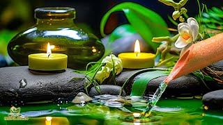 Relaxing Spa Music - Beautiful Peaceful, Calm Music, Meditation, Nature Sounds, Bamboo Water Sounds