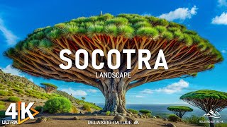 Socotra Island 4K UHD - Exploring Socotra’s Unique Landscapes and Biodiversity - 4K Video UHD