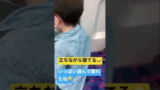 立ちながら寝てるw#shorts#癒し#子供#電車