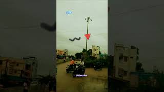 ఉయ్యాల ఊగుతున్న Cable #lastestupdate #cable #rain #heavyrain #tree #shorts #youtube #lalapet #viral