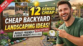 GENIUS CHEAP BACKYARD LANDSCAPING IDEAS TO INSPIRE YOU! UNLOCK YOUR OASIS.