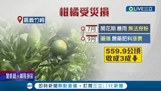 種了一甲子沒這麼慘過... 柑橘受天災影響 採收量只剩三成 肥料.農藥接連漲價無疑是雪上加霜│記者 廖國雄 吳繢杉│【消費報你知】20220922│三立新聞台