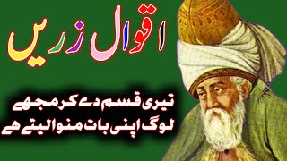 Aqwalezareen | Islamic Quotes | Golden Words in Urdu