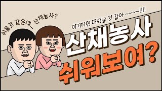 산채농사가 쉬워보여요? 산채농사의 장.단점 !!