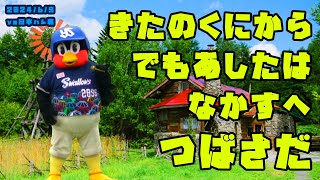 つば九郎　北の国からのさだまさしさんを熱唱もすぐ曲止まる…　2024/6/9 vs日本ハム