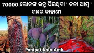 କଳା ଆମ୍ବ କାହାଣୀ || Kala Amb Panipat story || maratha or mogal fight in panipat story ||