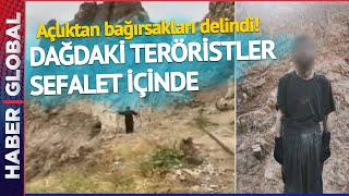 PKK Kırılıyor! Dağdaki Teröristler Sefalet İçinde Böyle Teslim Oldu